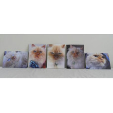 Cat Greeting Cards - set of 5